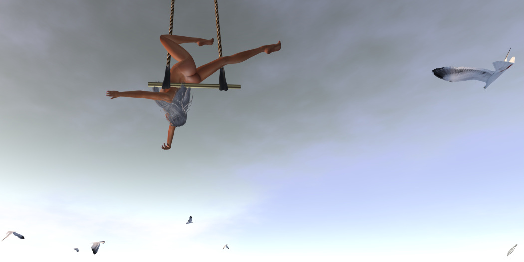 trapeze4